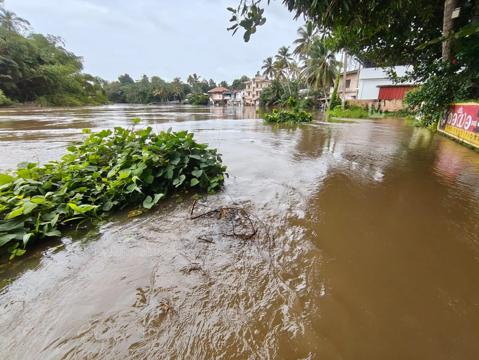 The Pamba River has overflowed its banks at Neerettupuram in Alappuzha | Mathrubhumi