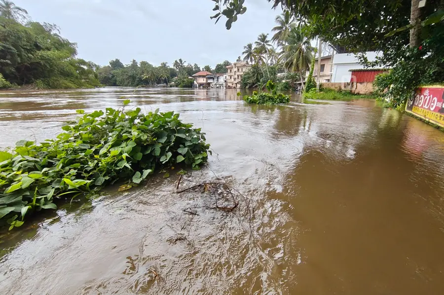 Moozhiyar Dam may be opened anytime as rising Pamba puts Aranmula on high alert