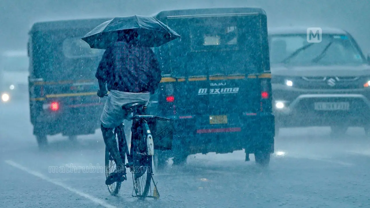 Representational image | Photo: Sreejith P Raj/ Mathrubhumi