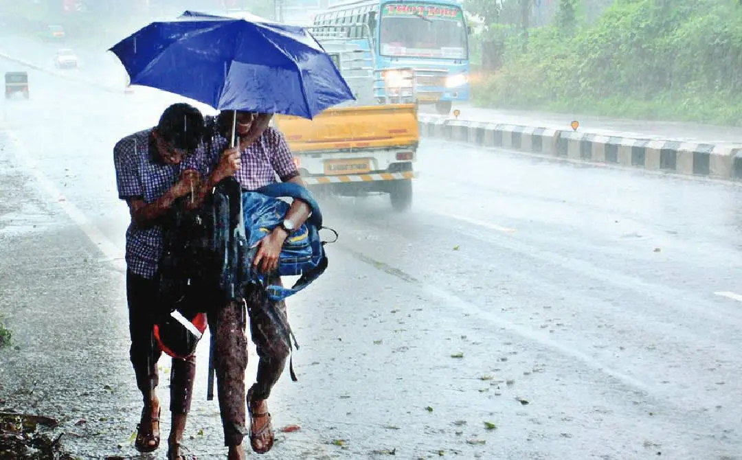 Representational image | Photo: Mathrubhumi