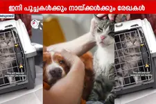 അബുദാബിയിൽ പൂച്ചകളുടെയും നായകളുടെ രജിസ്‌ട്രേഷൻ പൂർത്തിയാക്കാനുള്ള സമയം അവസാനിച്ചു
