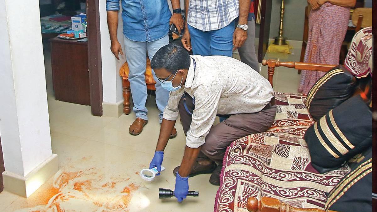 ആലപ്പുഴയിൽ വാടകക്കാരനെന്ന വ്യാജേനെത്തി മുളകുപൊടിയെറിഞ്ഞ് 12 പവൻ കവർച്ച; പ്രതി പിടിയിൽ