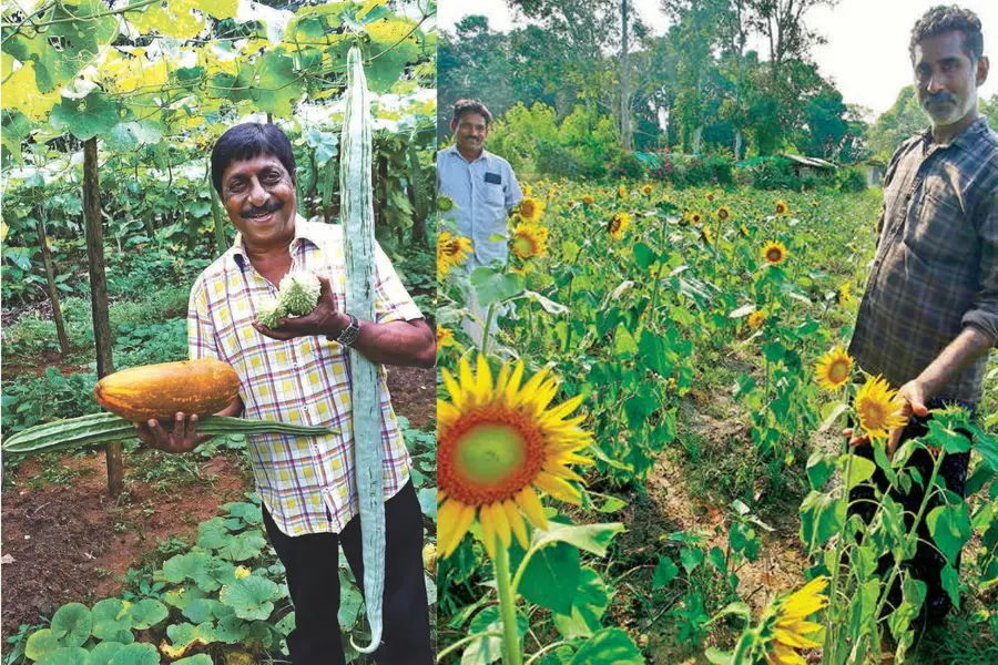 SreenivasanFarming