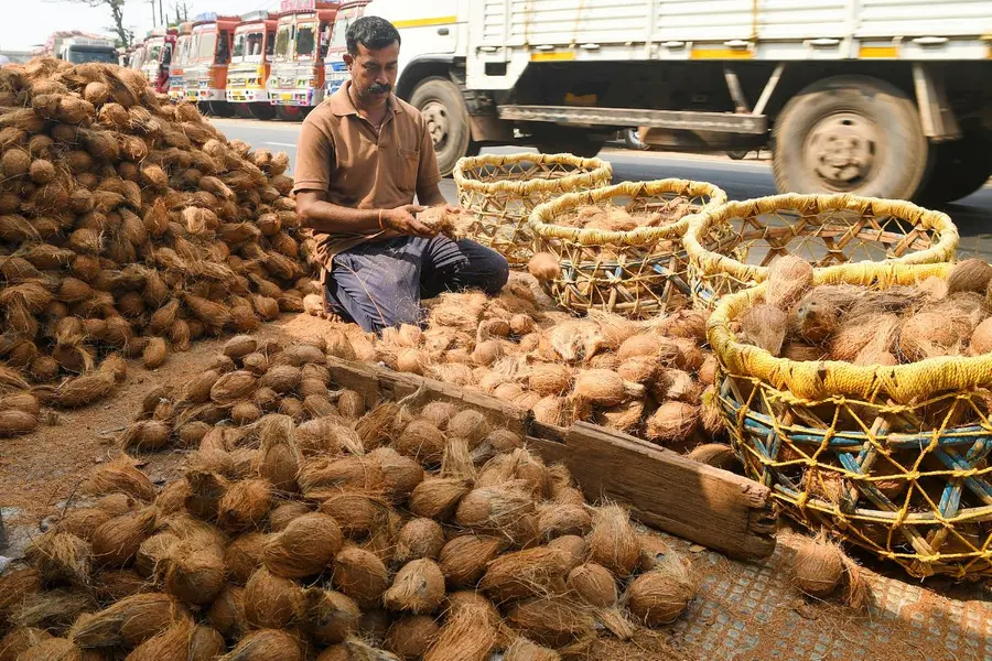 Coconut.jpg