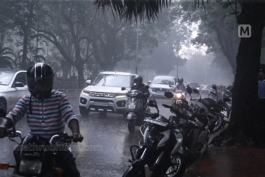 Kerala weather today: Seven districts on orange alert; heavy rain, strong winds likely