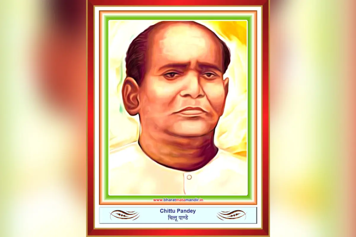 ചിത്തു പാണ്ഡെ
