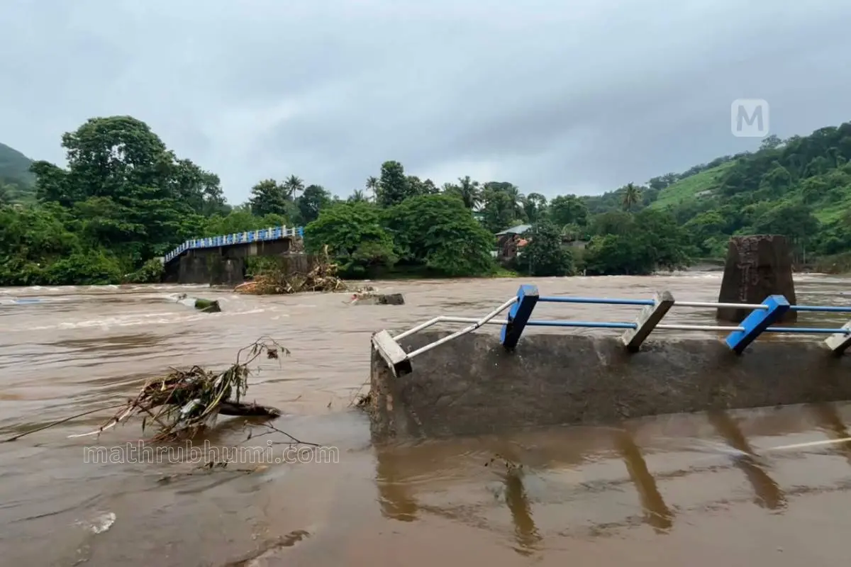 ഫോട്ടോ: ജെയ്വിൻ ടി സേവ്യർ