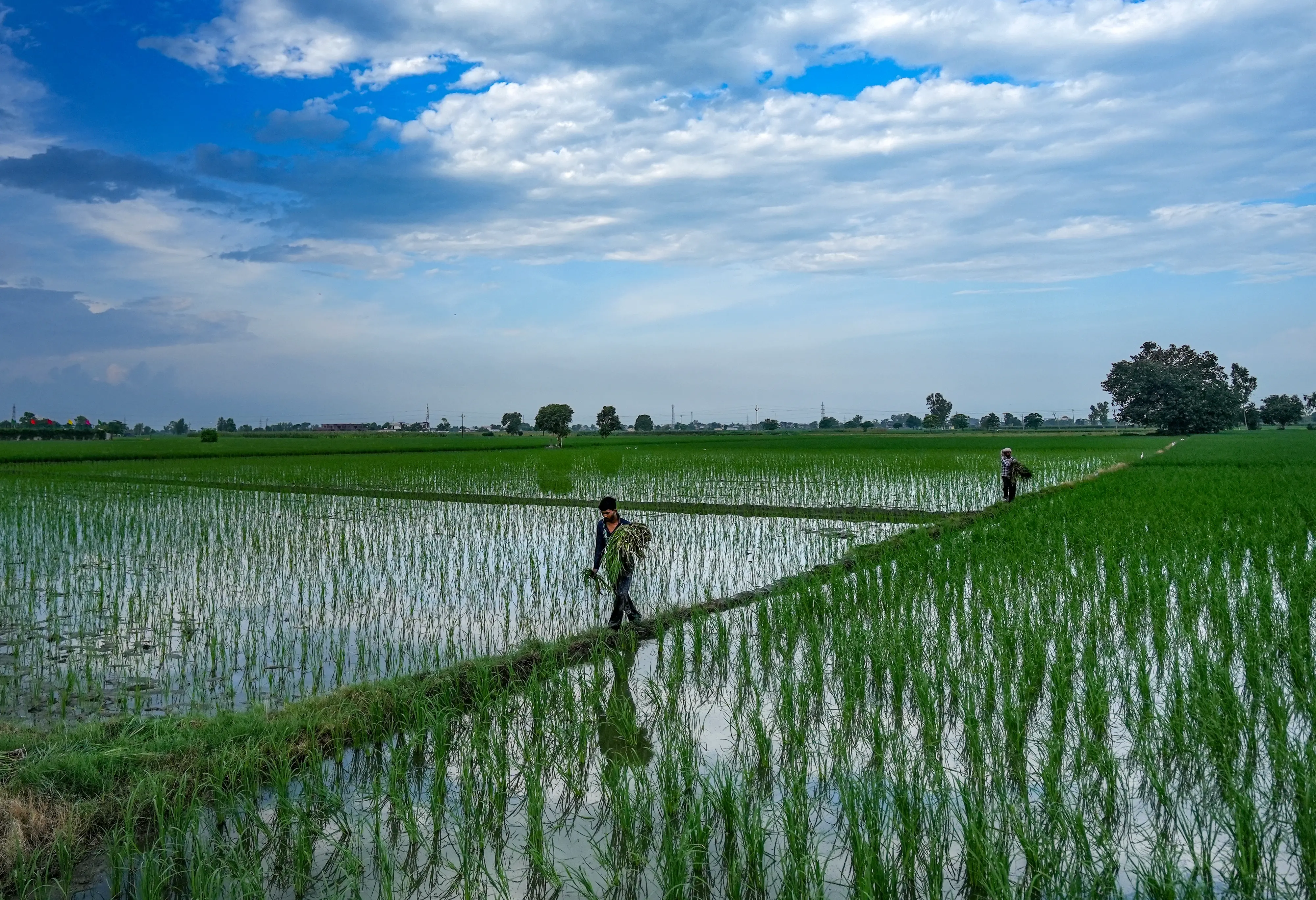 Representative image | Photo: PTI