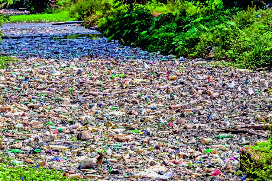 water pollution, plastic mismanagement