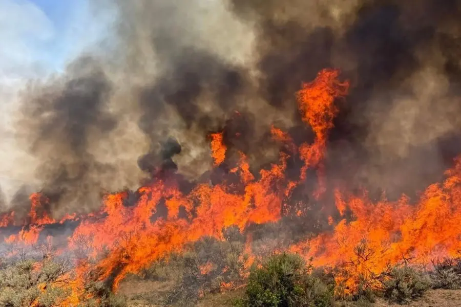 utah-wildfire