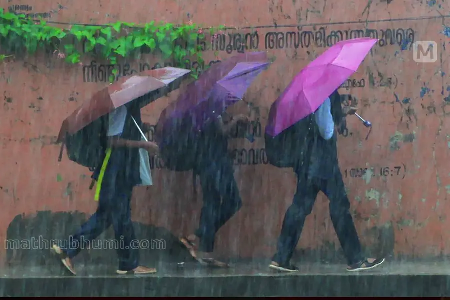 Kerala rain alert: Schools, colleges shut in 8 districts today; check full list and exceptions