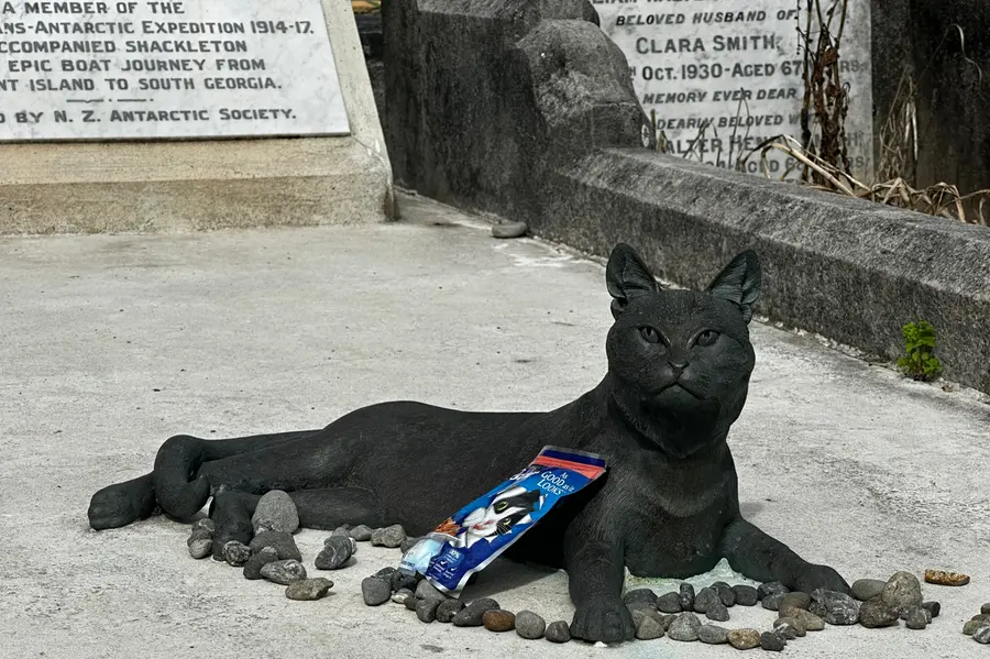 Mrs Chippy the cat bronze statue