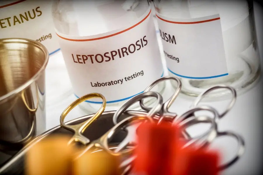 leptospiosis