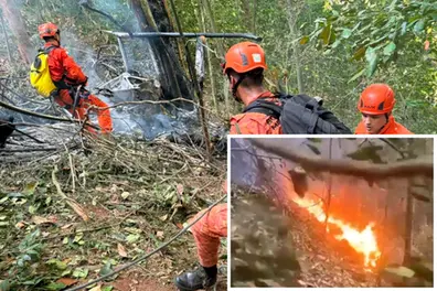 Rio sightseeing helicopter crashes in forest: Pilot, three tourist sisters die