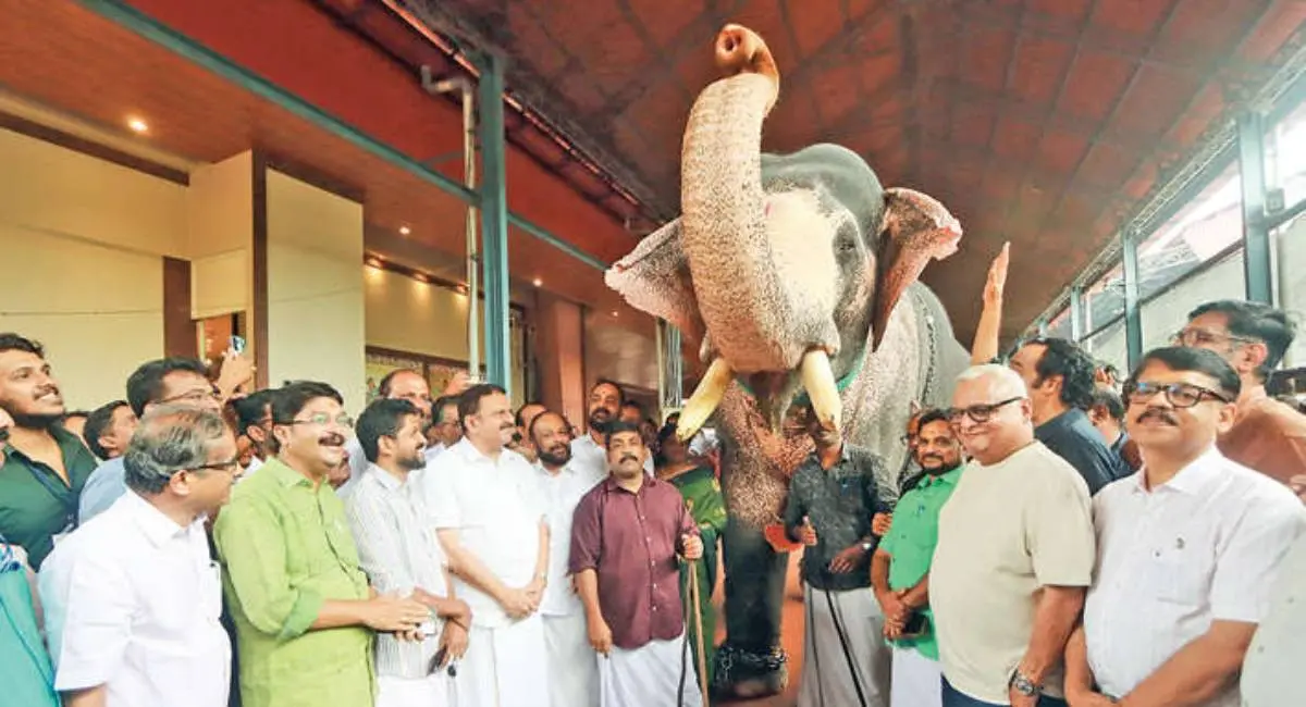 ആനവര' ചിത്രരചനാമത്സരം ഉദ്ഘാടനം ചെയ്യാനെത്തിയ മന്ത്രി കെ. മുരളീധരൻ, ദേവസ്വം ചെയർമാൻ എ.വി. ഗോപിനാഥ്, തൃശ്ശൂർ കളക്ടർ ശിഖാ സുരേന്ദ്രൻ, മാതൃഭൂമി മാനേജിങ് ഡയറക്ടർ എം.വി. ശ്രേയാംസ്കുമാർ തുടങ്ങിയവർ ദേവസ്വം ആന ജൂനിയർ വിഷ്ണുവിനൊപ്പം