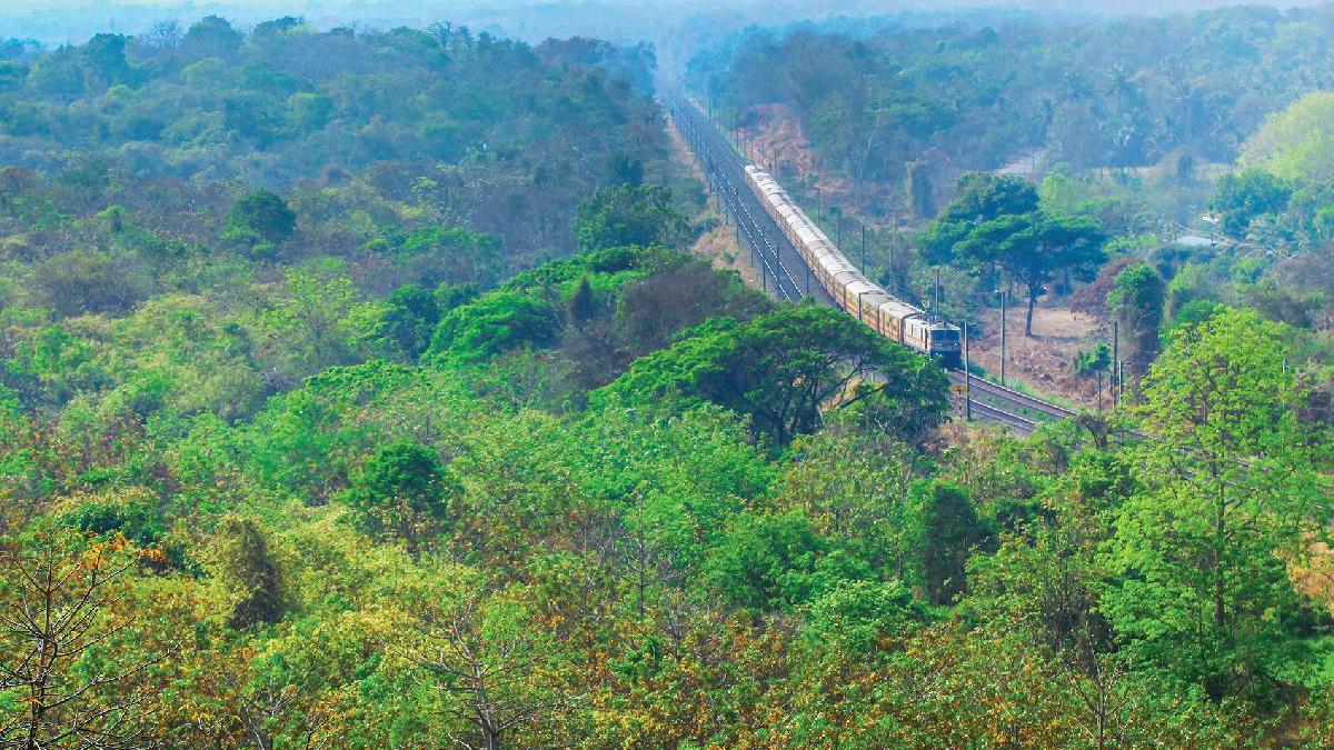 Kanjikode's 228-acre land for Coach Factory now among sites proposed for Kerala's AIIMS