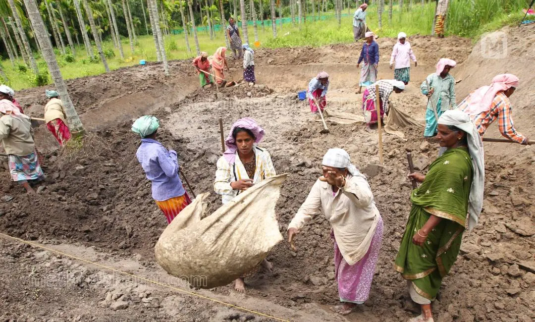 Representative image | Photo: Mathrubhumi