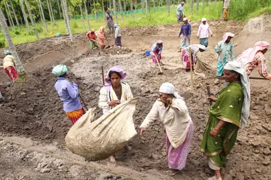 VB-G RAM G: Why rural jobs fell nearly 50% in first month