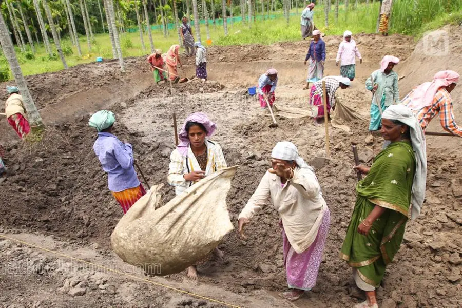 VB-G RAM G promised more work, but rural jobs fell nearly 50% in its first month.