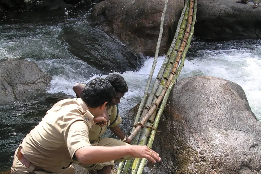 വാതിലിനുമുന്നിൽ വരിവച്ച് പോകുന്ന വെള്ളത്തുള്ളികൾ; ആ രാത്രിയിൽ ഫോറസ്റ്റർക്ക് എന്താണ് സംഭവിച്ചത്?
