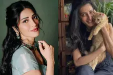 'ജീവിതത്തിലെ സങ്കടകരമായ തീരുമാനം'; അലർജിയെത്തുടർന്ന് പൂച്ചയെ ദത്ത് നൽകാൻ തീരുമാനിച്ച് ശ്രുതി