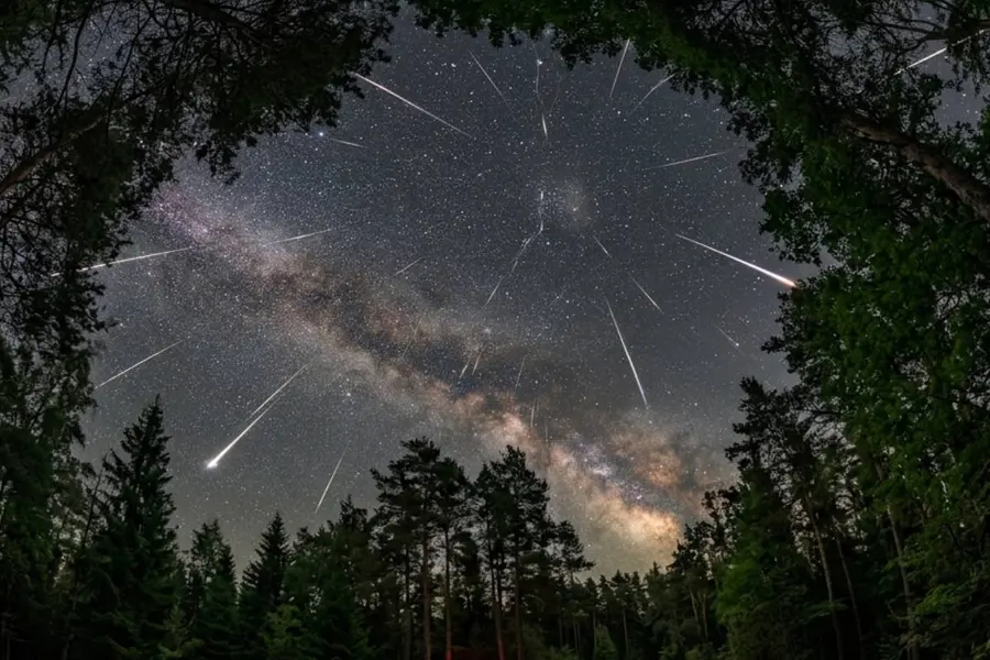 Perseid Meteor Shower