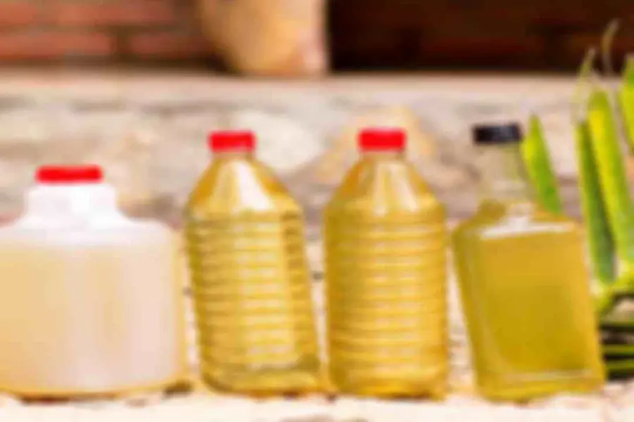 Coconut oil price today