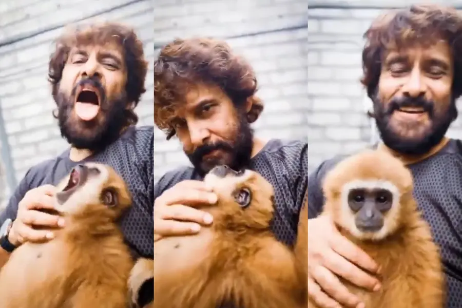 Vikram monkey