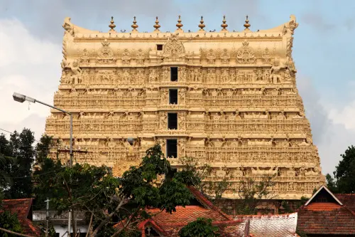 Stray dog menace: Devotees bitten at Padmanabhaswamy temple; questions mount for BJP-led Corporation