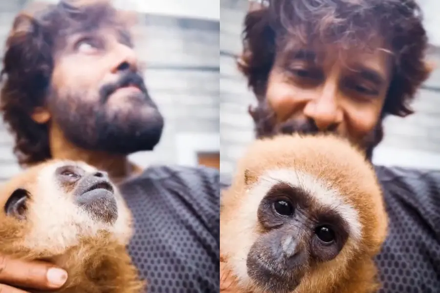 Chiyaan Vikram deletes Lar Gibbon video after wildlife concerns surface; What happened?