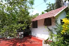 ചെലവ്‌ 3.5 ലക്ഷം, ഒരാൾക്ക് താമസിക്കാൻ ഈ വീട് പോരെ; ഇൻസ്റ്റഗ്രാം കീഴടക്കിയ ക്യൂട്ട് വീട്