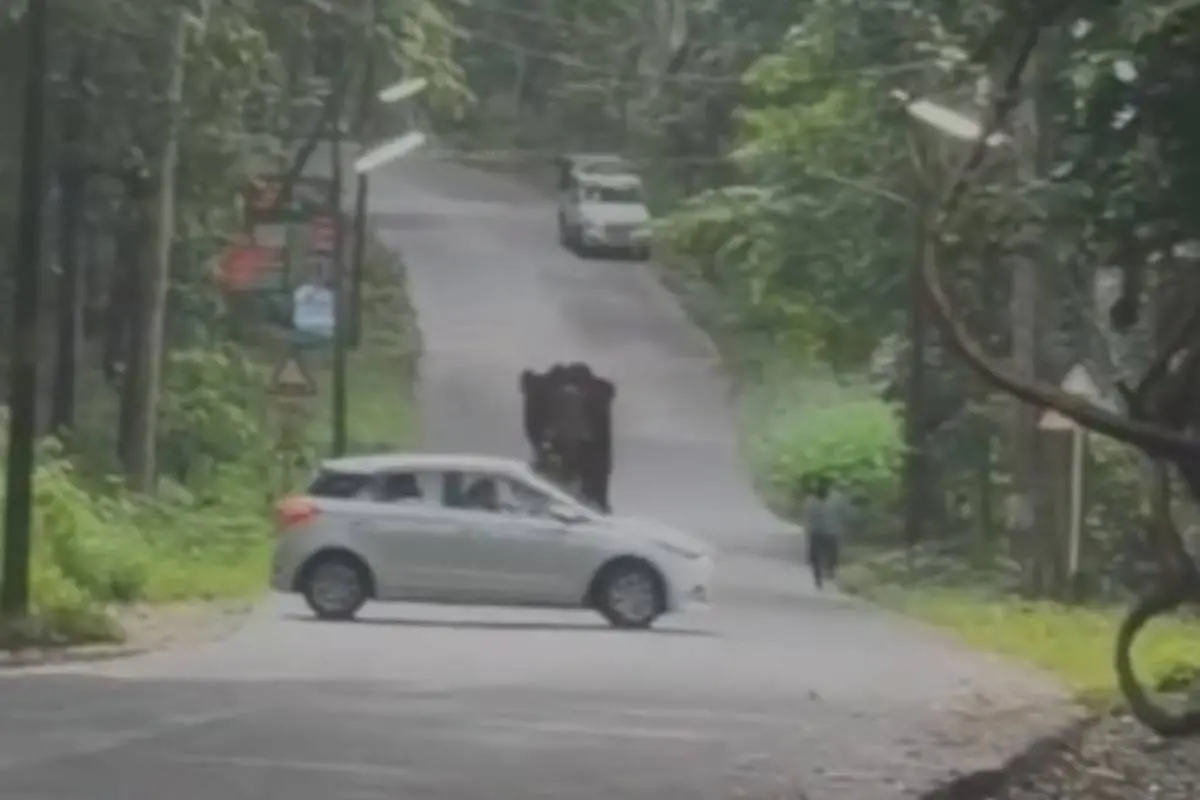 അതിരപ്പിള്ളി തുമ്പൂർമുഴിയിൽ വനം വകുപ്പ് ഉദ്യോഗസ്ഥർക്ക് നേരെ കാട്ടാന പാഞ്ഞടുത്തപ്പോൾ