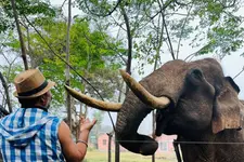 ഒരിക്കൽ കുടിക്കാൻ വെള്ളം നൽകി, പിന്നെ സ്ഥിരം അതിഥി; കാട്ടാനയുടെ കൂട്ടുകാരനായ ശ്രീജിത്ത് വക്കീൽ