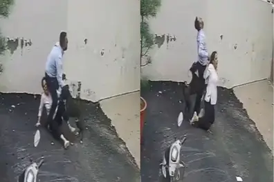 Horrifying CCTV shows Pit Bull attacking Patiala couple; Property dealer seen hiding | VIDEO