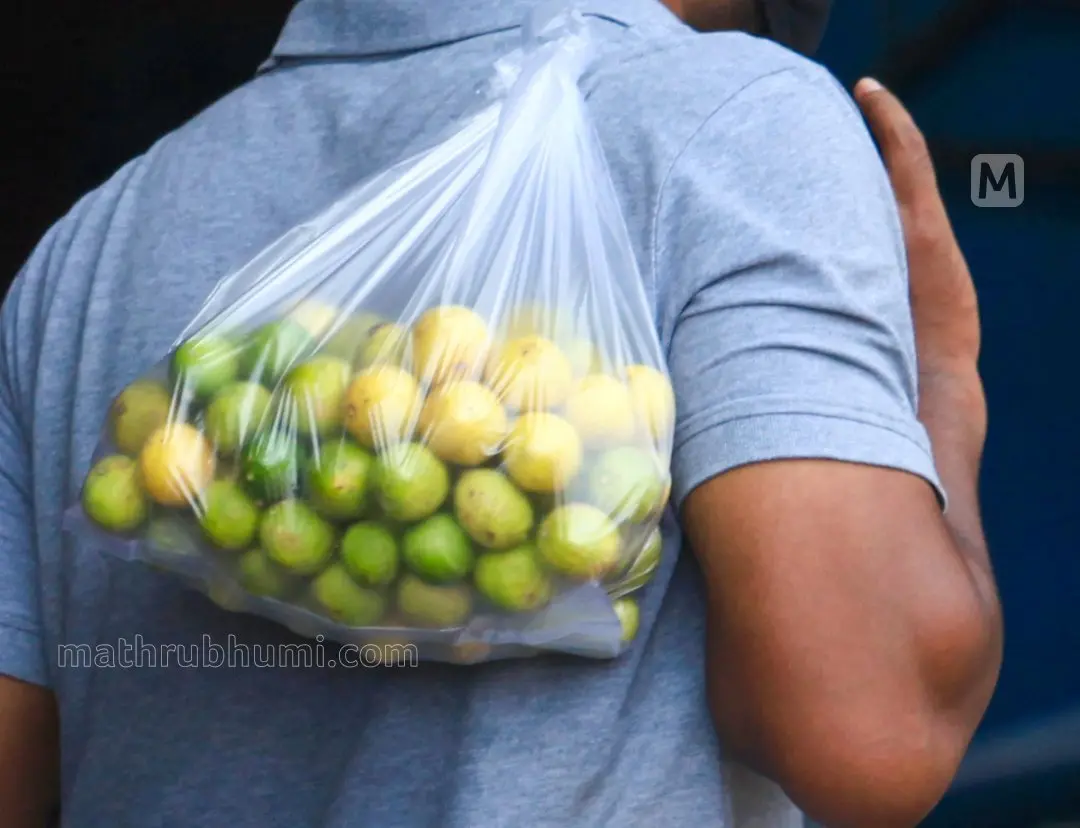 പ്രതീകാത്മകചിത്രം | Photo: Mathrubhumi
