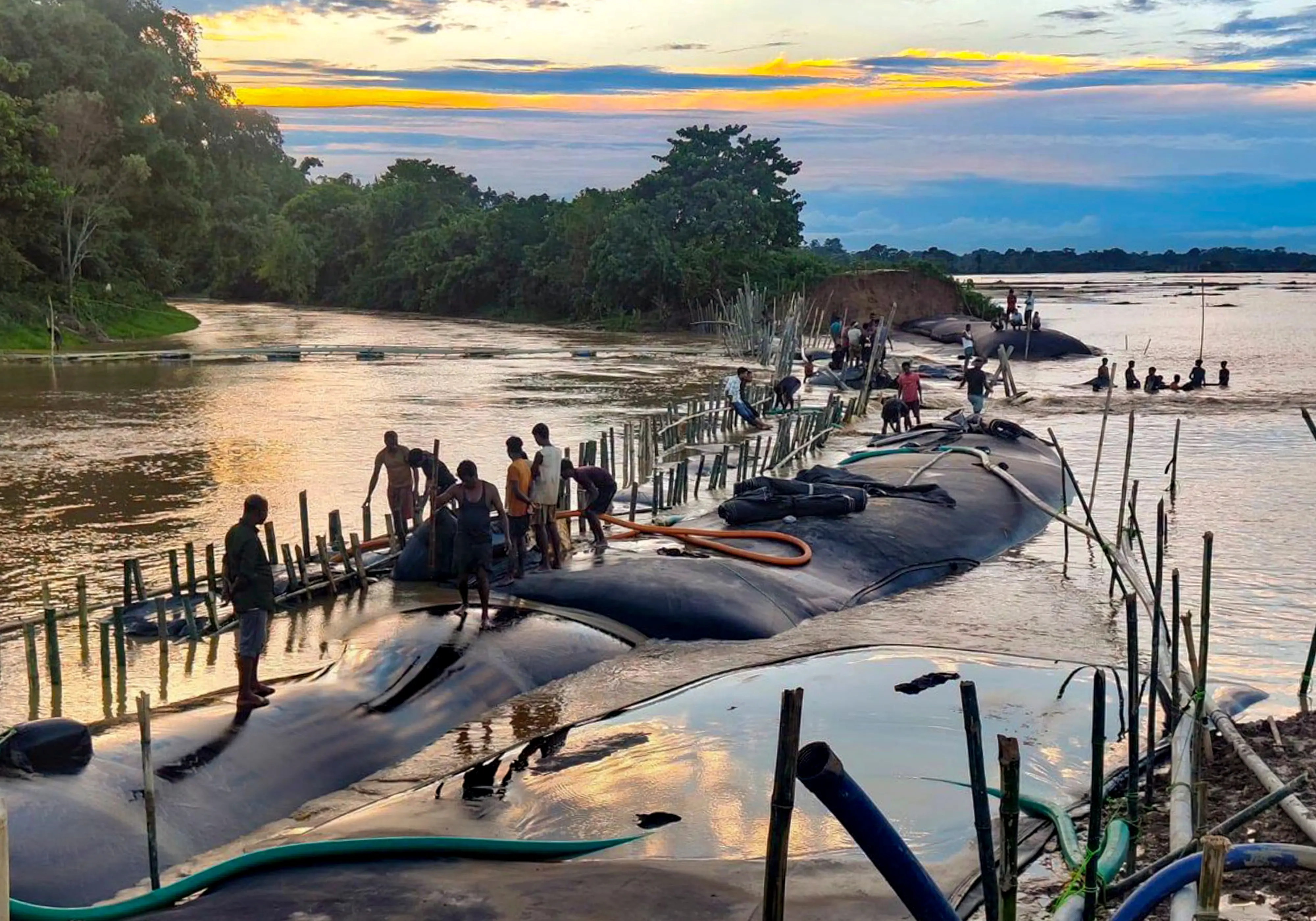 People gather on geo-tubes amid embankment repairing as part of Assam Flood Response, in Jorhat | Photo: @himantabiswa/X