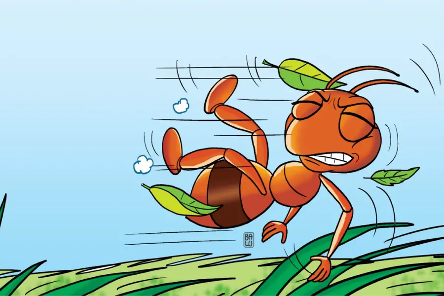 Ant Story