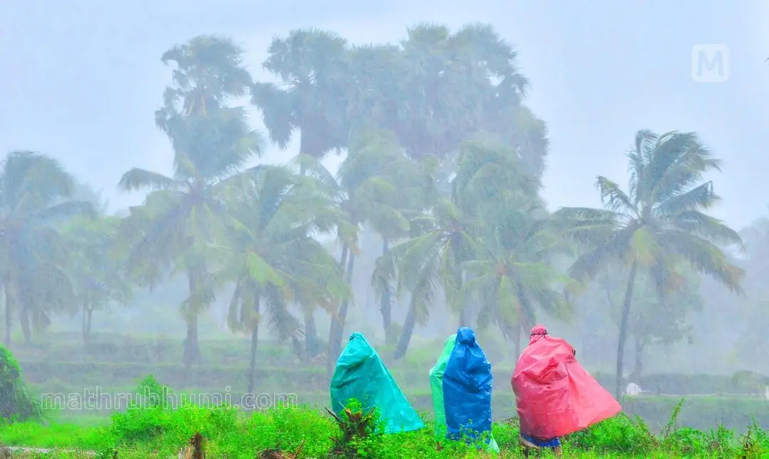 Representational image | Photo: Mathrubhumi