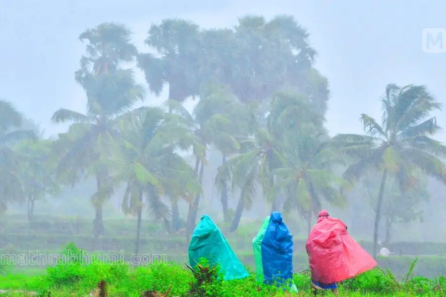 rain
