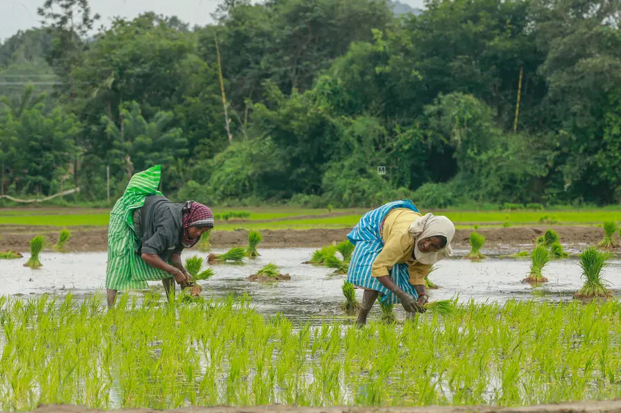 മണ്ണിലധ്വാനിക്കുന്ന പെൺമികവിന് ആദരം; കൃഷിക്ക് സഖിക്കൂട്ട് ഇന്നുമുതൽ