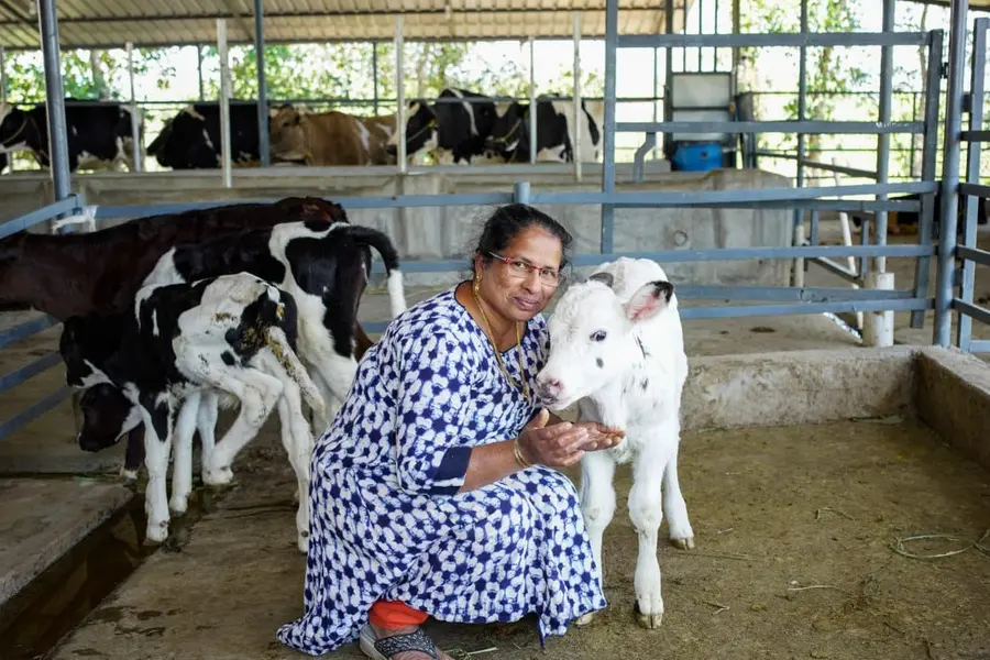 പാലിനപ്പുറം ചിന്തിച്ചാൽ മികച്ച ലാഭം; മൂല്യവർദ്ധിത ഉൽപ്പന്നങ്ങളുമായി ലില്ലി, ക്ഷീരമേഖലയിലെ പെൺകരുത്ത്