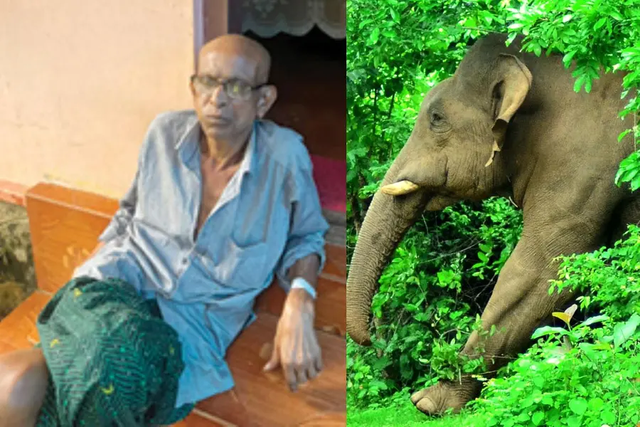 അച്ഛനും മകനും സഞ്ചരിച്ച കാർ കാട്ടാന കുത്തിനീക്കി; താഴ്ചയിലേക്ക് മറിക്കാതിരുന്നത് രക്ഷയായി