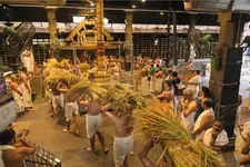 ഗുരുവായൂർ ക്ഷേത്രത്തിൽ നിറക്കതിരുകളുടെ സമൃദ്ധിയിൽ ഇല്ലം നിറ