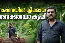 മലനിരകളെ കീഴടക്കി BBAക്കാരന്റെ റോപ്പ്‌വേ; ടൂറിസം കേന്ദ്രങ്ങൾപോലും തേടിയെത്തുന്ന അനീഷിന്റെ കൃഷിബുദ്ധി