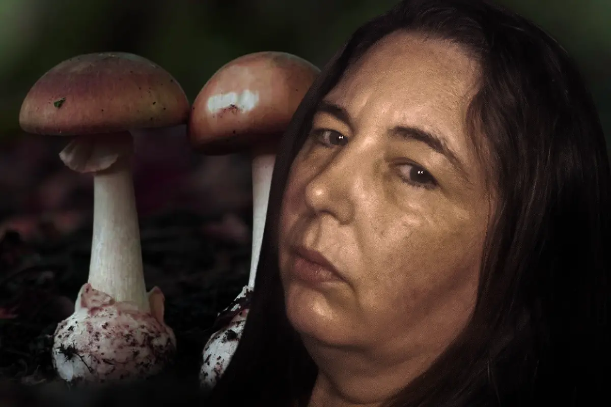Amanita phalloides, Erin Patterson