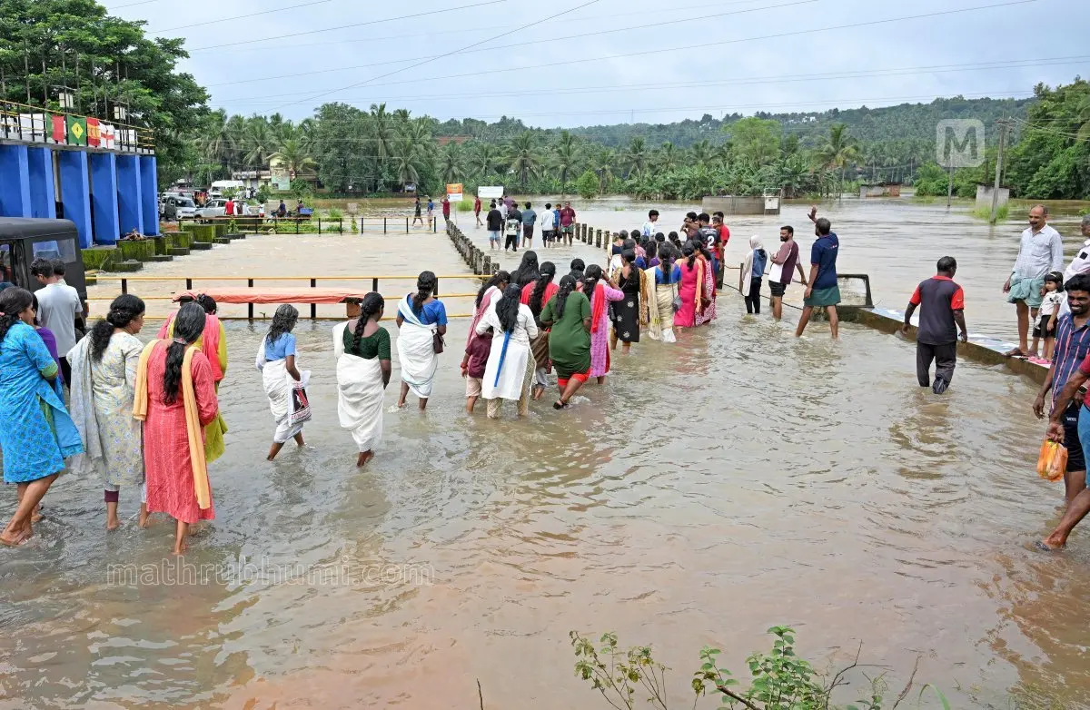കനത്ത മഴയിൽ മക്കരപ്പറമ്പ് നാറാണത്ത്-കാറ്റാടിപ്പാടം പാലത്തിൽ വെള്ളം കയറിയപ്പോൾ  | ഫോട്ടോ: അജിത്‌ ശങ്കരൻ / മാതൃഭൂമി
