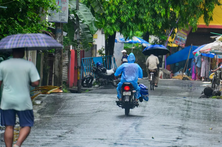 bengal-rain.jpg