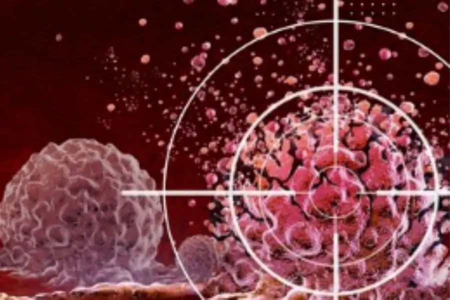 CancerDrug