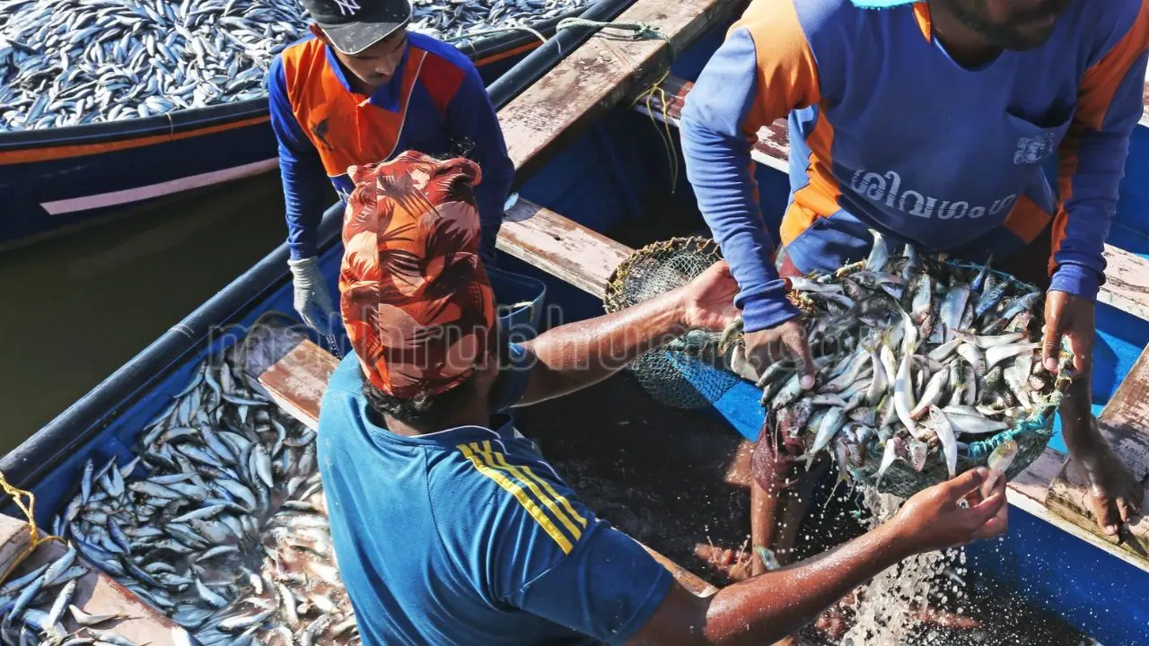 Representative image | Photo: Sunil kumar C./Mathrubhumi