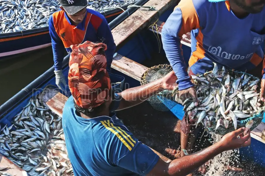 Kerala tightens fishing rules